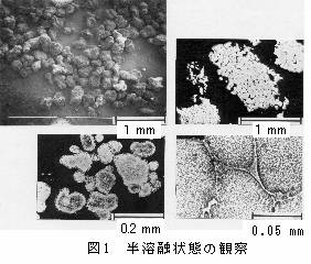 半溶融状態の観察